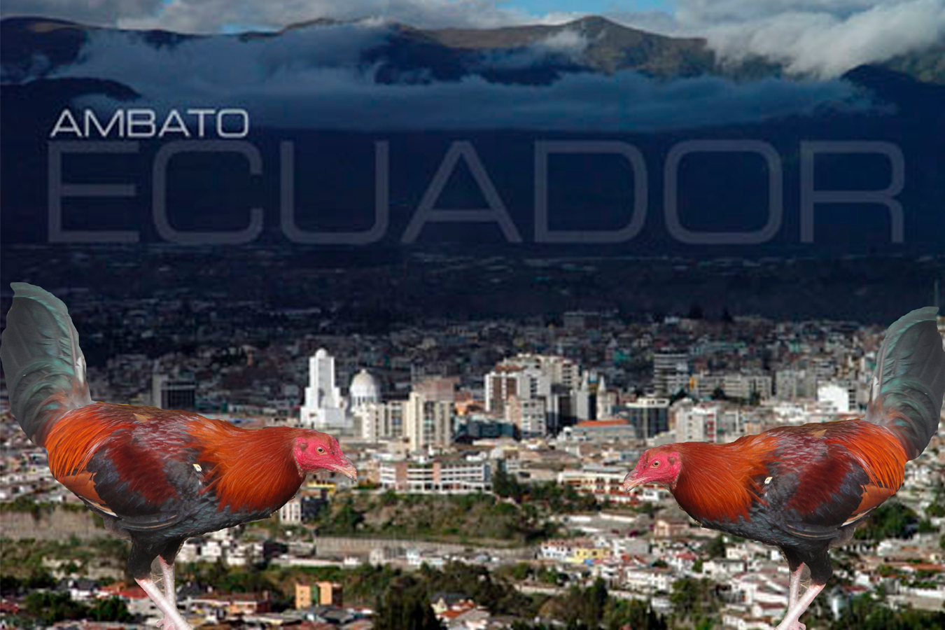 Sin título-1