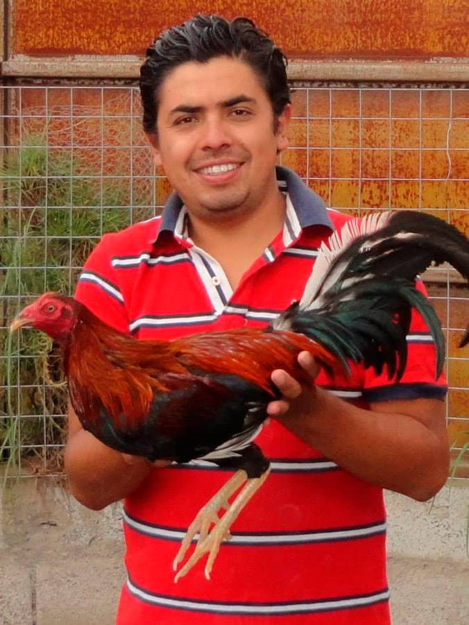 Sin título-12