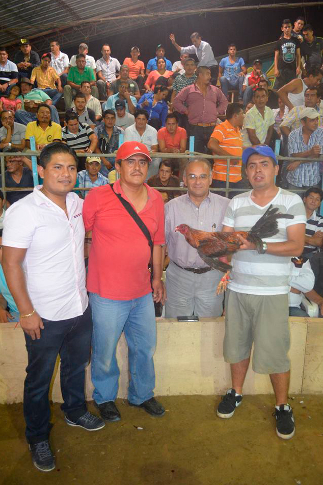 Sin título-2